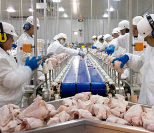 Brazil Chicken Companies