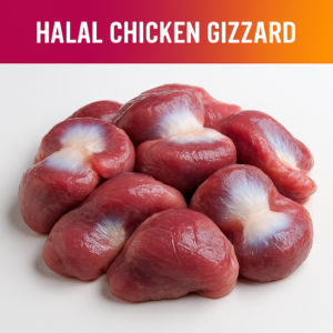 Halal Chicken Gizzard