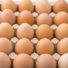 Premium Brazilian Free-Range Eggs – Brown & White