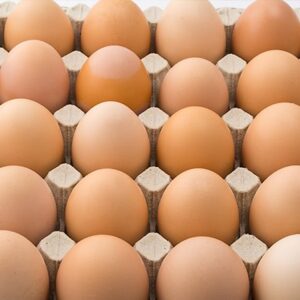 Premium Brazilian Free-Range Eggs – Brown & White