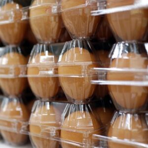 Alternative view of Brazilian Pasture-Raised Eggs – Brown