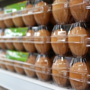Brazilian Pasture-Raised Eggs – Brown