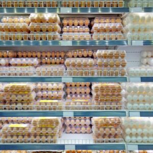 Alternative view of Buy Cage-Free Eggs at wholesale prices