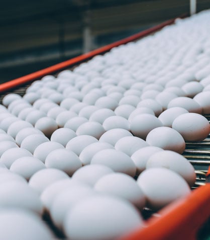 Egg Products (Liquid, Dried & Frozen)